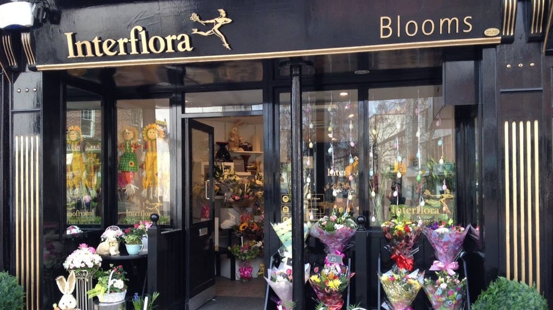 Blooms Flowers Louth Celebrant Ireland